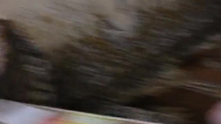 Два пацыка трахают соседку