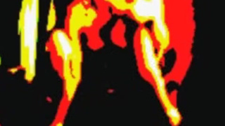 Кобель порется со своей любимой по - собачьи